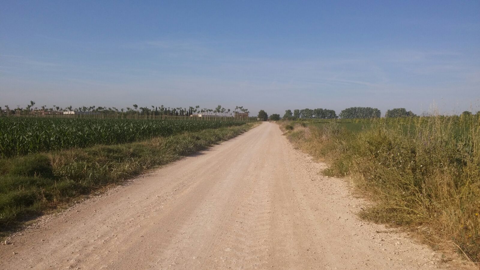 El Palau d’Anglesola pavimenta els camins de Tàrrega i del Molinet