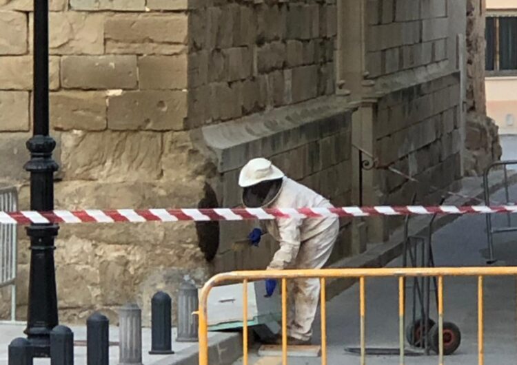 Troben un eixam d’abelles a l’església de Santa Maria de Linyola