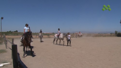 Una seixantena de nens i nenes participen a les Estades d’Estiu del Centre Eqüestre Lliri Blau de Linyola