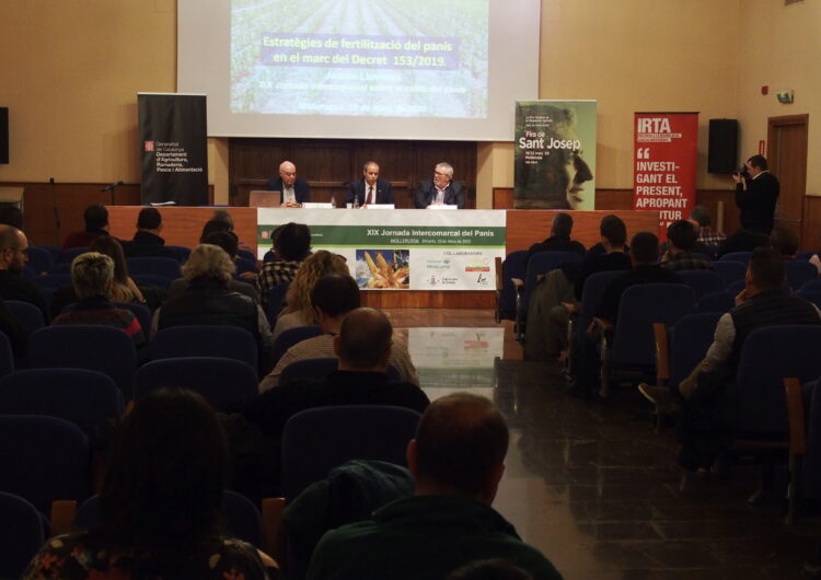 Un centenar de persones participen en la Jornada Intercomarcal sobre panís de Sant Josep