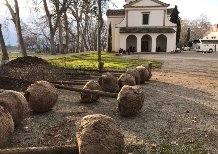 El Castell del Remei inicia el projecte d’enjardinament amb la plantació de 240 arbres