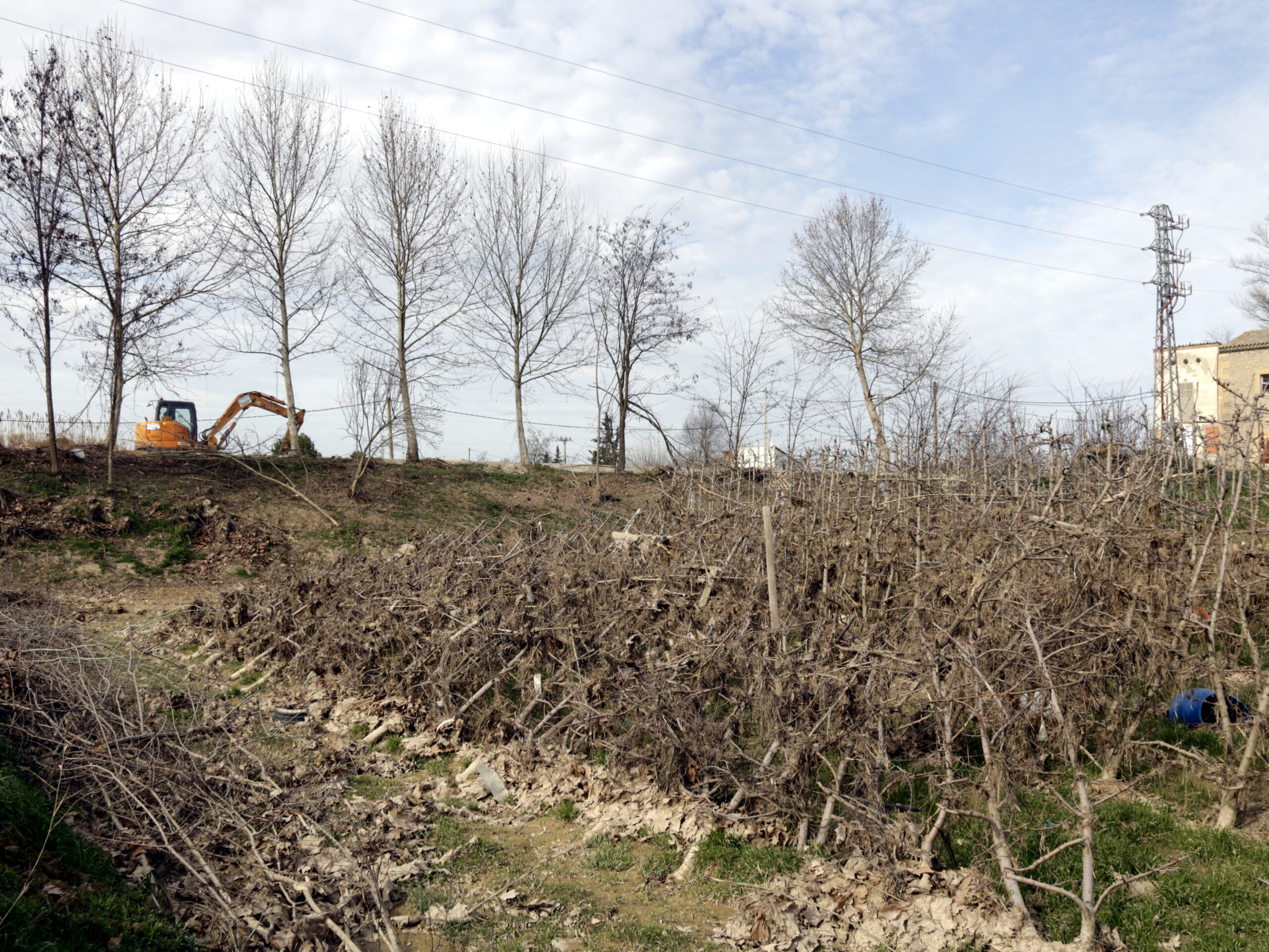 Pla obert on es veu part d'un camp amb arbres fruiters que han quedat greument afectats pels aiguats i, al fons, un tram del Canal Principal a Les Borges Blanques, el 7 de febrer de 2020. (Horitzontal)