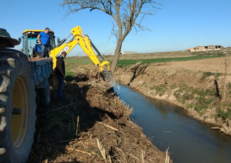 Linyola treballa per netejar la séquia sud i plantar-hi al voltant de 300 arbusts i plantes