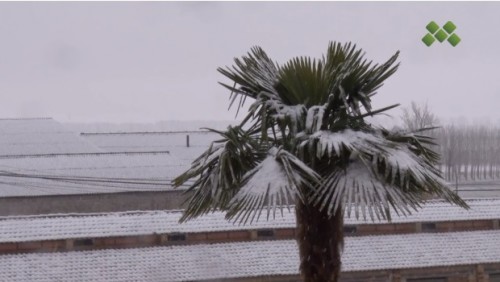 Un nou front podrà deixar precipitacions de neu als 200 metres a partir del migdia a les comarques de Ponent