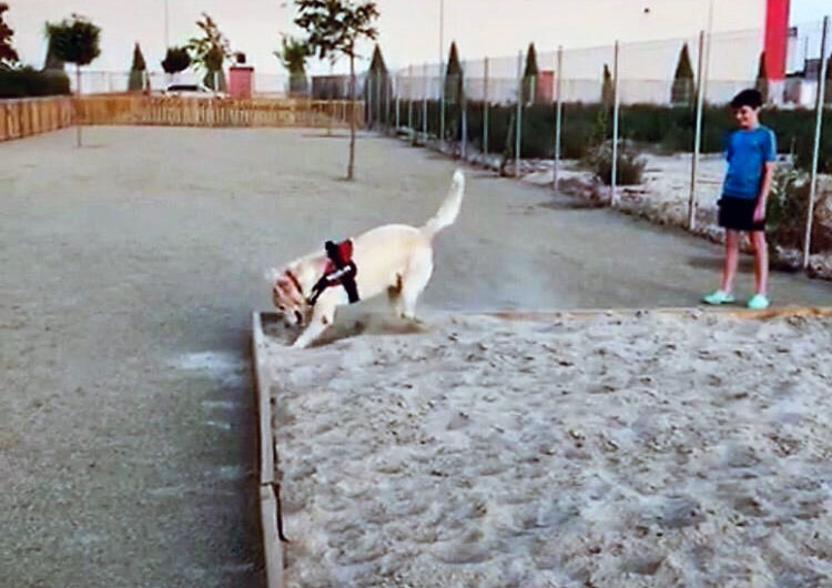 El Palau d’Anglesola estrena una zona tancada de 900m2 destinada als gossos