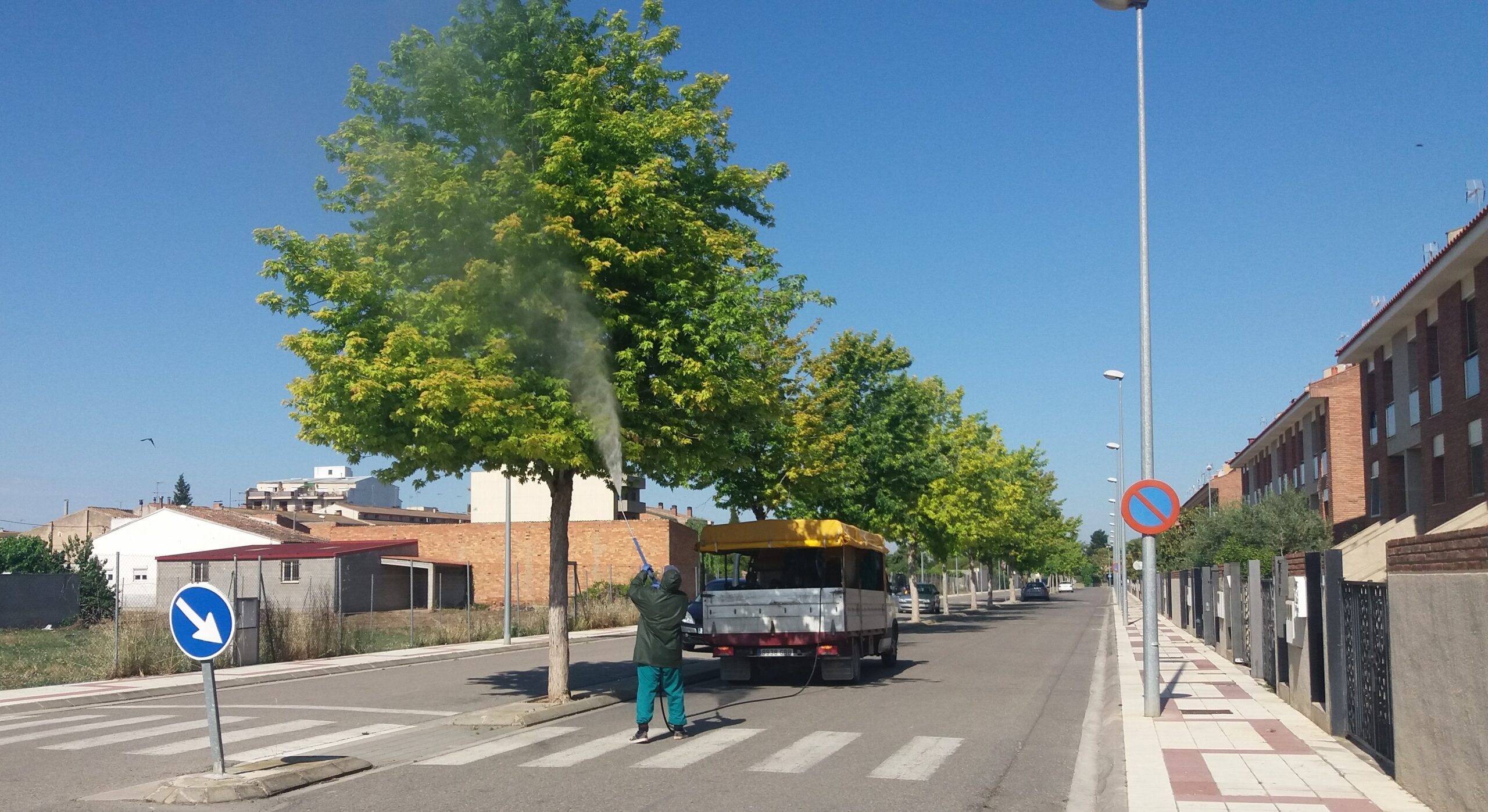 El consistori aplica un tractament preventiu a les zones verdes contra el pugó, l’assecada i la cotxinilla