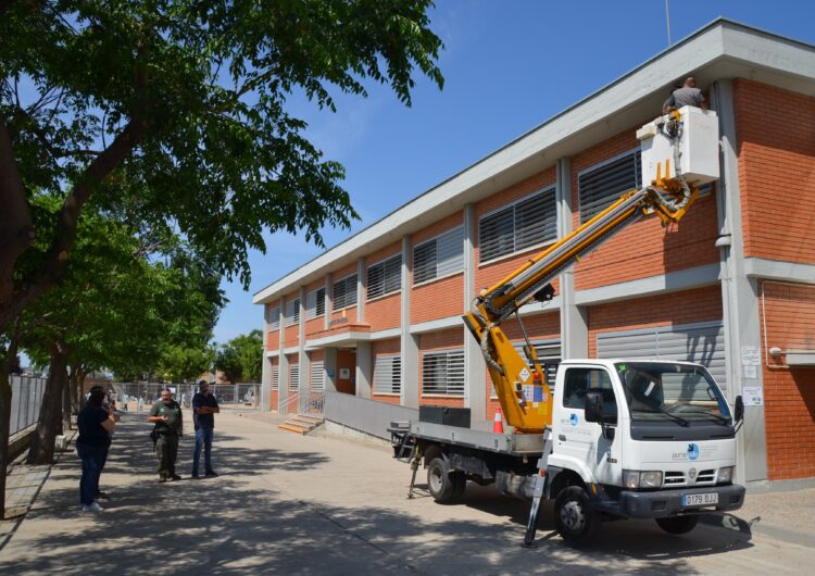 Agents rurals detecten una colònia de ratpenats a l’escola Pompeu Fabra i aconsellen mantenir-la