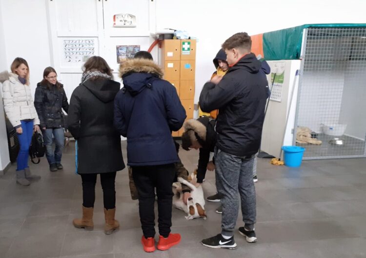 Alumnes de la UEC de Mollerussa, voluntaris al Refugi de Trànsit d’Animals