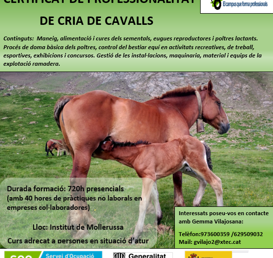 L’Institut Mollerussa ofereix a desocupats formar-se en la restauració de pedra natural o la cria de cavalls