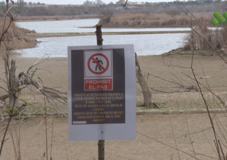 L’estany d’Ivars i Vila-sana continua el seu reompliment i el nivell d’aigua ja ha recuperat uns 35 cm