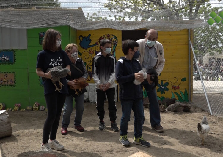 L’escola del Palau inaugura un galliner construït per diverses generacions del poble