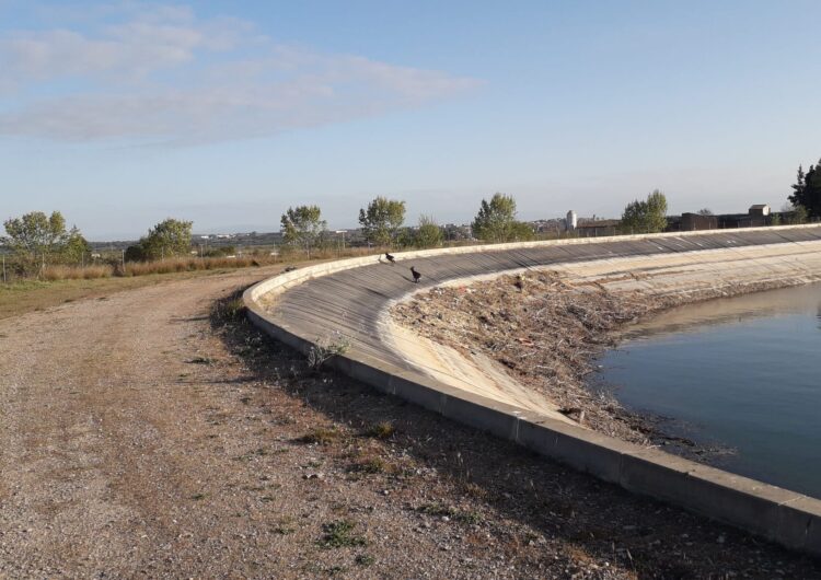 Sistemes salvavides al Canal d’Urgell per preservar la fauna salvatge