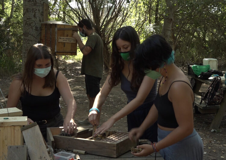 Primer camp de treball per a adolescents a l’Estany: “Ens permet cuidar el medi ambient i alliberar-nos”