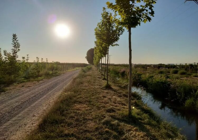 Adeqüen dos quilòmetres de via verda des del Salt del Duran a Mollerussa