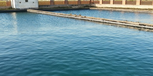 Vilanova inicia la licitació per a la construcció de la planta potabilitzadora d’aigua