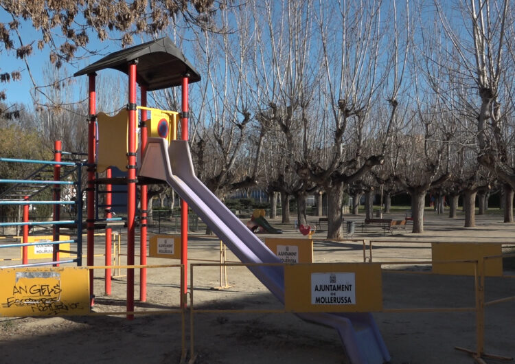 L’Ajuntament de Mollerussa remodelarà els elements que integren el Parc Municipal