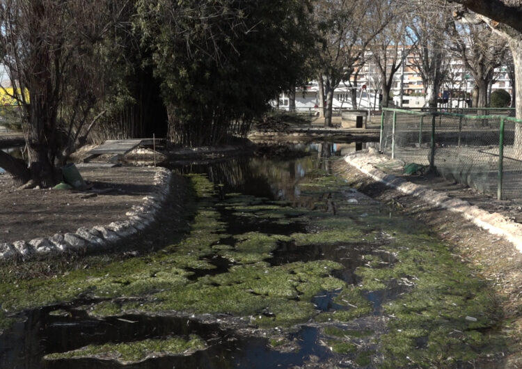 L’ajuntament de Mollerussa desmantellarà la bassa del parc municipal