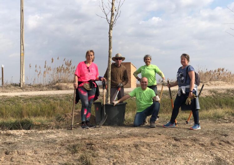 Planten 20 arbres nous al llarg de la banqueta de Mollerussa al Salt del Duran