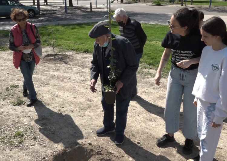 Veïns de totes les edats i entitats participen en la plantada d’una seixantena d’alzines a Mollerussa