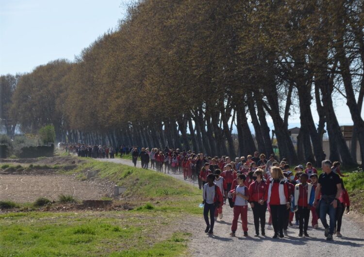 Mollerussa celebra el Dia Mundial de l’Activitat Física amb més de 400 persones fent una caminada saludable