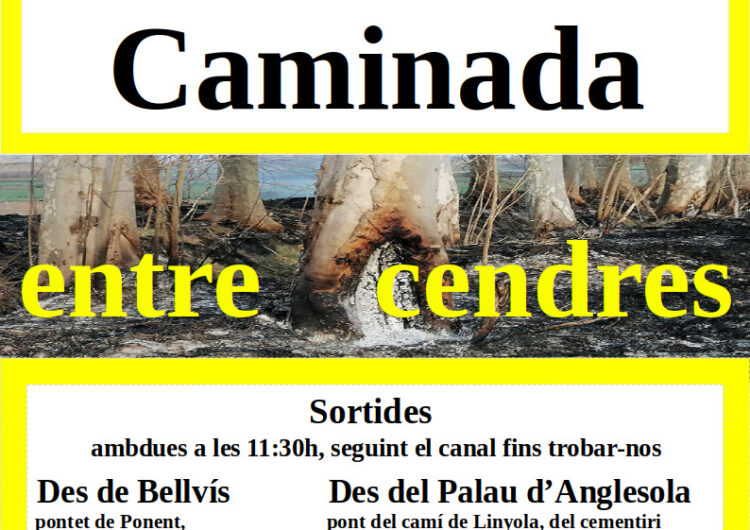 Canal Viu organitza la Caminada entre Cendres