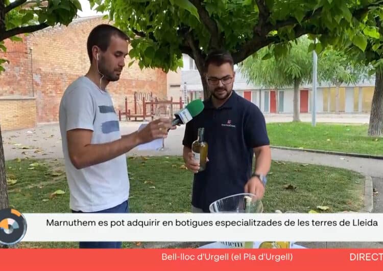 Connecta Lleida Pirineus: Un vermut elaborat per un veí de Bell-lloc d’Urgell obté un premi internacional