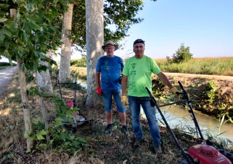 Els Amics i Amigues de la Banqueta de Mollerussa desbrossen més de 2km de via verda