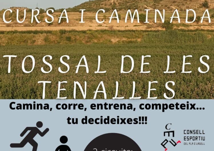 Sidamon celebrarà la I Cursa i Caminada Tossal de les Tenalles