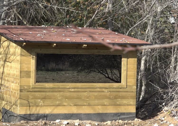 L’Estany d’Ivars i Vila-sana estrena un observatori de fauna al bosc de ribera i renova la passera