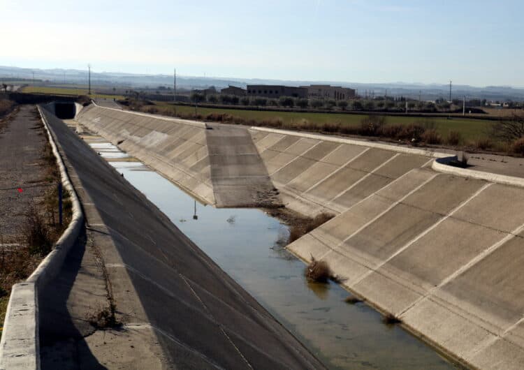 Els Canals d’Urgell daten el primer torn de reg de supervivència per als arbres durant el mes de juny