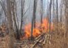 Un incendi crema uns 1.500 metres quadrats de canyissar i vegetació al bosquet de l’estany d’Ivars i Vila-sana