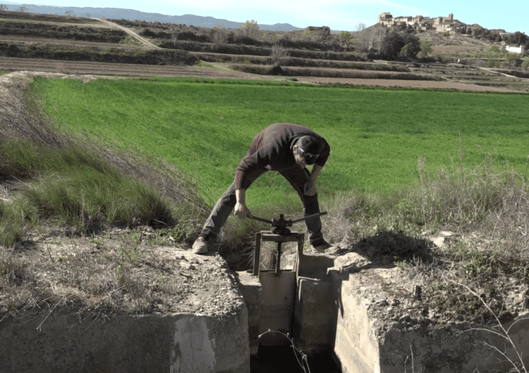 Els regants dels Canals d’Urgell inicien una de les campanyes més complicades a causa de la sequera