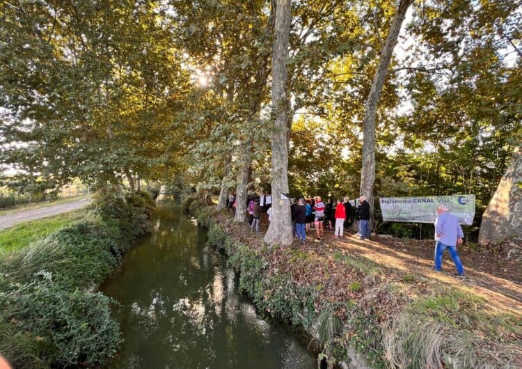 Finalitza de la plantació d’un miler d’abres als Canals d’Urgell