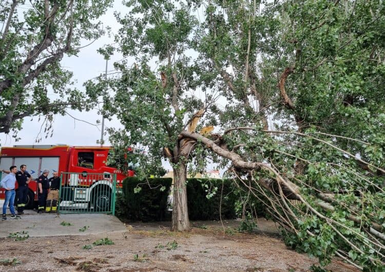 Mollerussa treballa per restablir la normalitat i reparar els danys a la via pública causats per la tempesta