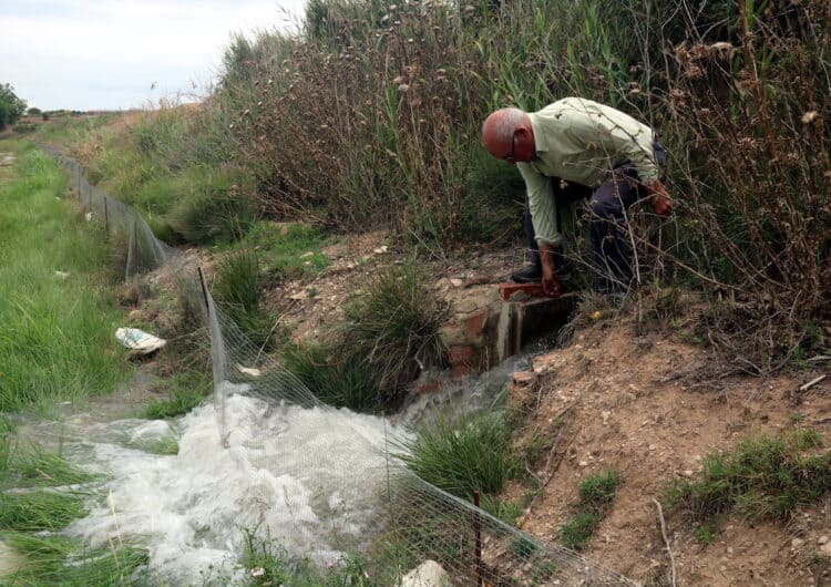 Els Canals d’Urgell fixen un nou torn de reg d’arbres del 10 al 19 d’agost