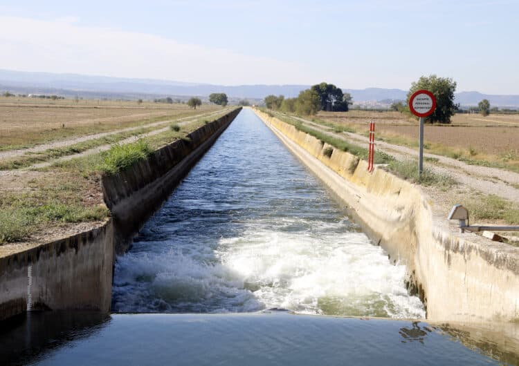 El canal d’Urgell repartirà l’aigua amb una nova unitat la campanya que ve