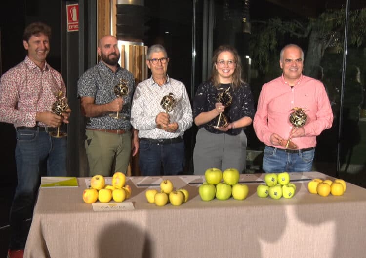 Tres explotacions de Lleida i una de Girona guanyen els premis a les millors pomes golden de Catalunya