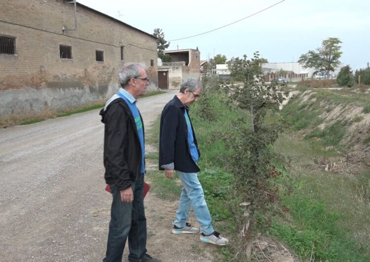 La meitat dels arbres plantats enguany a la banqueta del canal han mort