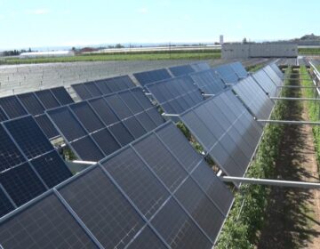 L’IRTA Mollerussa acull el primer projecte pilot d’energia fotovoltaica en fruiters de Catalunya