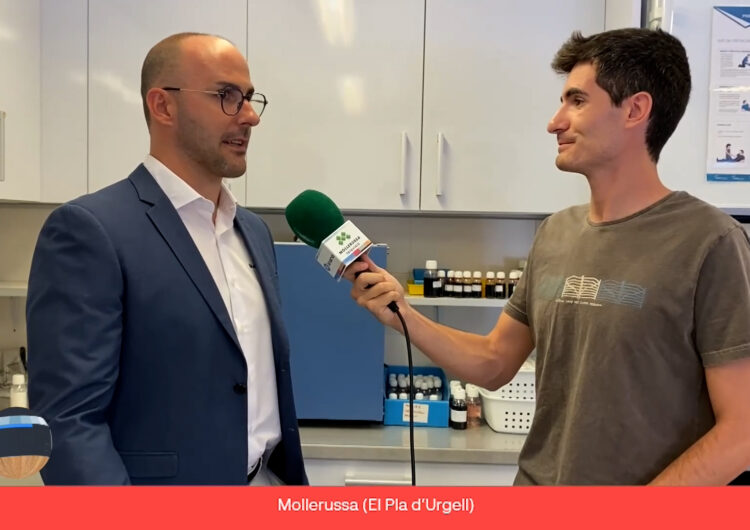 Connecta Lleida Pirineus: Altinco crea un nou insecticida ecològic únic a Europa