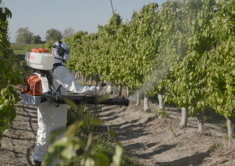El primer insecticida ecològic amb un 20% d’oli de parafina, amb segell mollerussenc