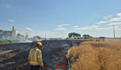 Detingut un jove de 18 anys de Vilanova de Bellpuig per provocar tres incendis agrícoles