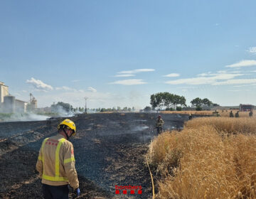 Detingut un jove de 18 anys de Vilanova de Bellpuig per provocar tres incendis agrícoles