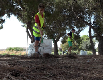El ‘Fet a JoVa’ es consolida al Pla d’Urgell amb la participació de tots els municipis
