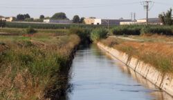 La proposta d’Agricultura per modernitzar el canal d’Urgell manté una aportació màxima de 2.311 euros per hectàrea