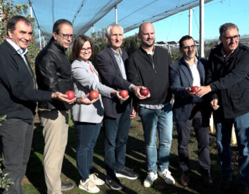 L’IRTA presenta ADORE, les noves pomes desenvolupades per resistir el canvi climàtic